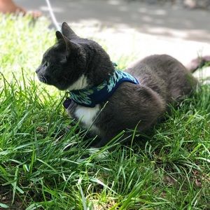 Meet your Posher, Brie